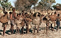 Беженцы съедают целые популяции редких африканских животных.