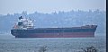Зерновоз налетел на мину после выхода из порта Южный, получил легкие повреждения – Reuters