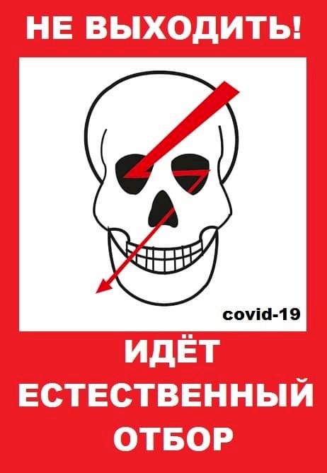 Не каждый может ответить, какой сегодня день карантина. 